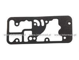 Uszczelnienie do Carraro 149995
