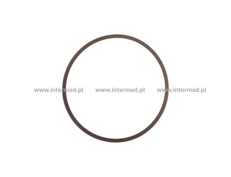 Oring do CNH Case New Holland 51499055