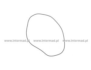 Oring do piasty ZF 0634304669